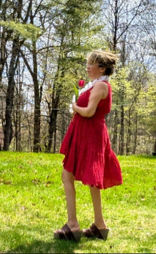 Free People "Birds of a Feather" Embroidered Mini Dress – Crimson Red